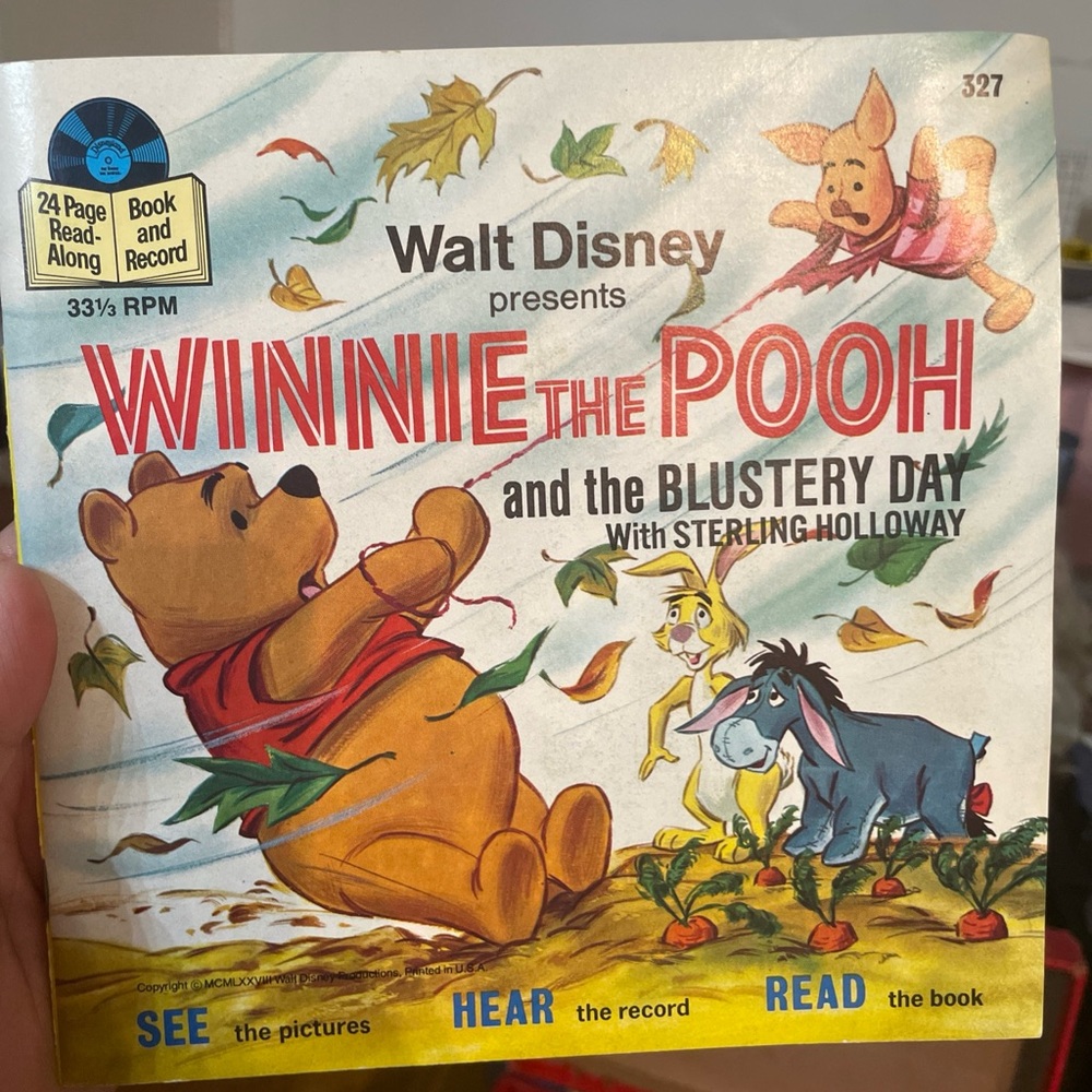 •Winnie the Pooh and the Blustery day children’s Book
